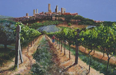 Weinreben, San Gimignano, Toskana, 1998